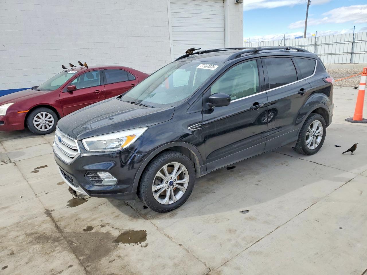 Salvage Ford Escape Image