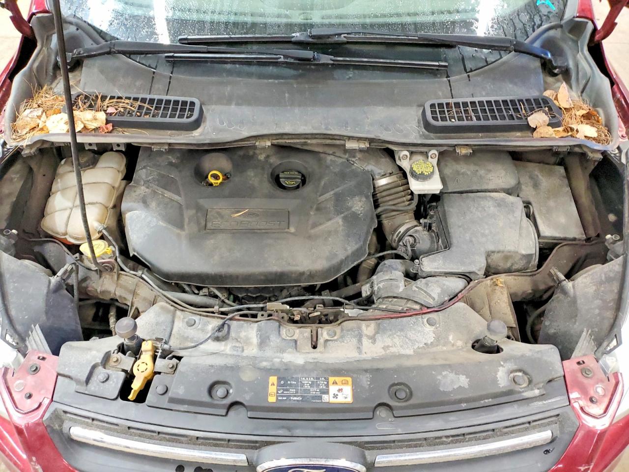 Ford Escape Se