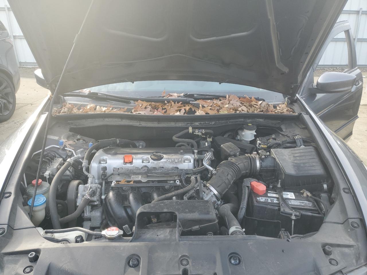 Honda Accord Se