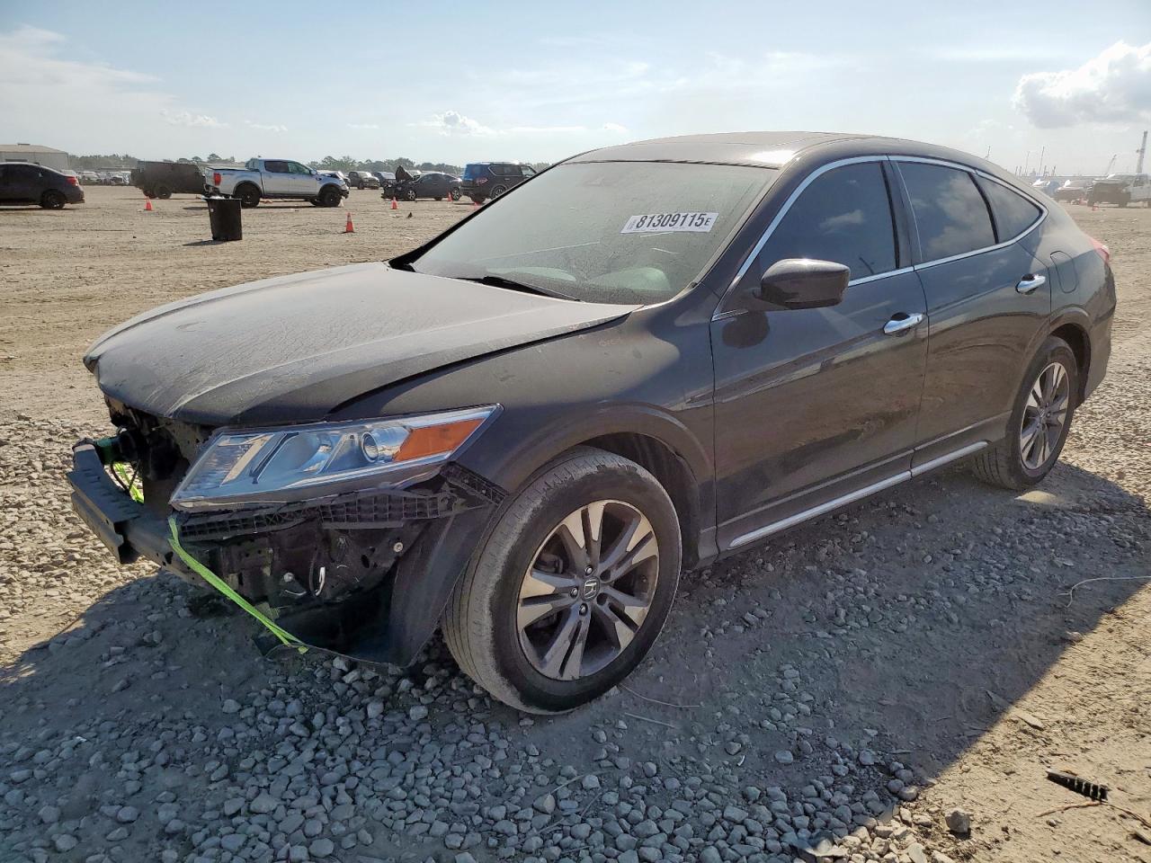 Salvage Honda Crosstour Image