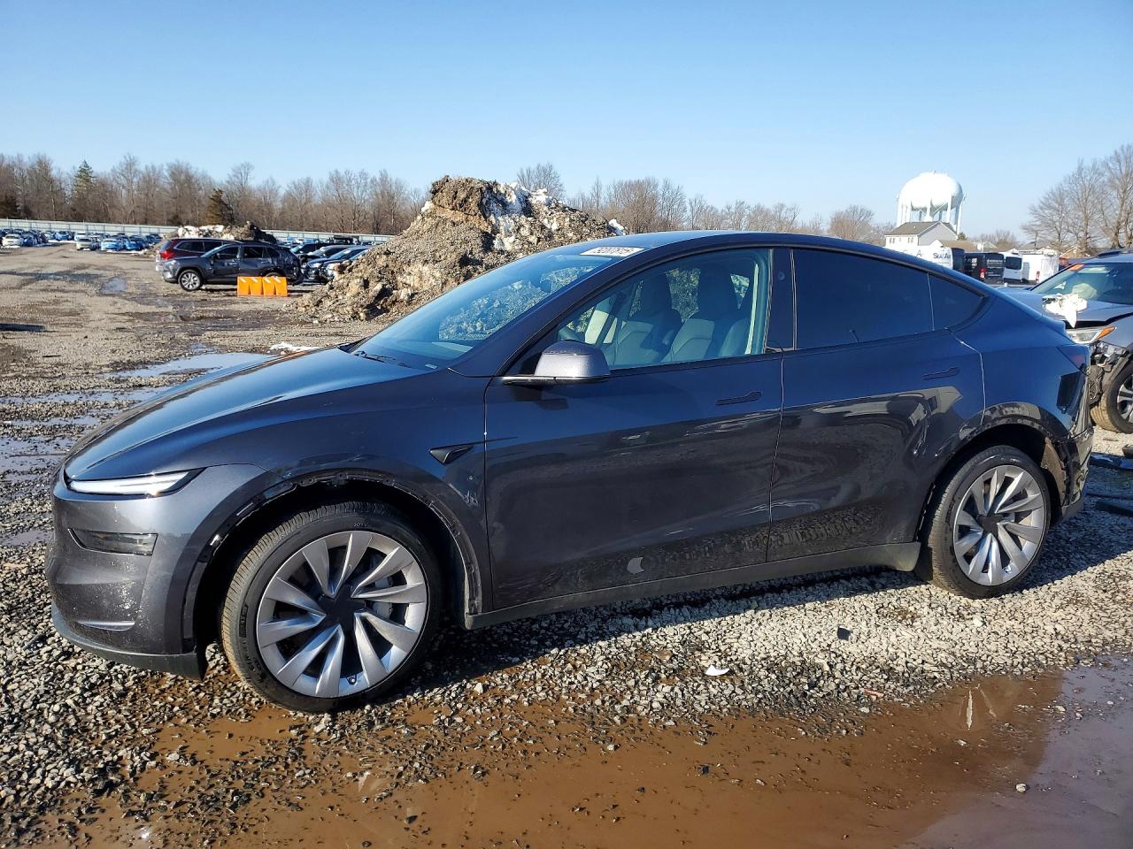 Salvage Tesla Model Y Image