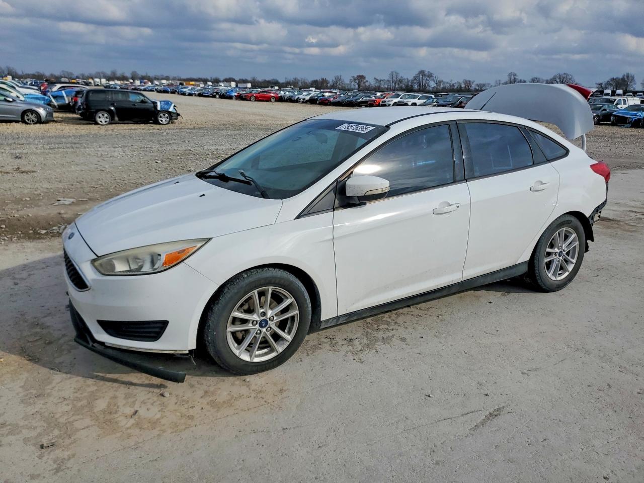 Salvage Ford Focus Image