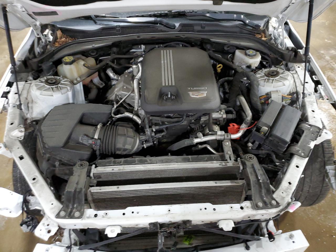 Cadillac CT4 Premium Luxury