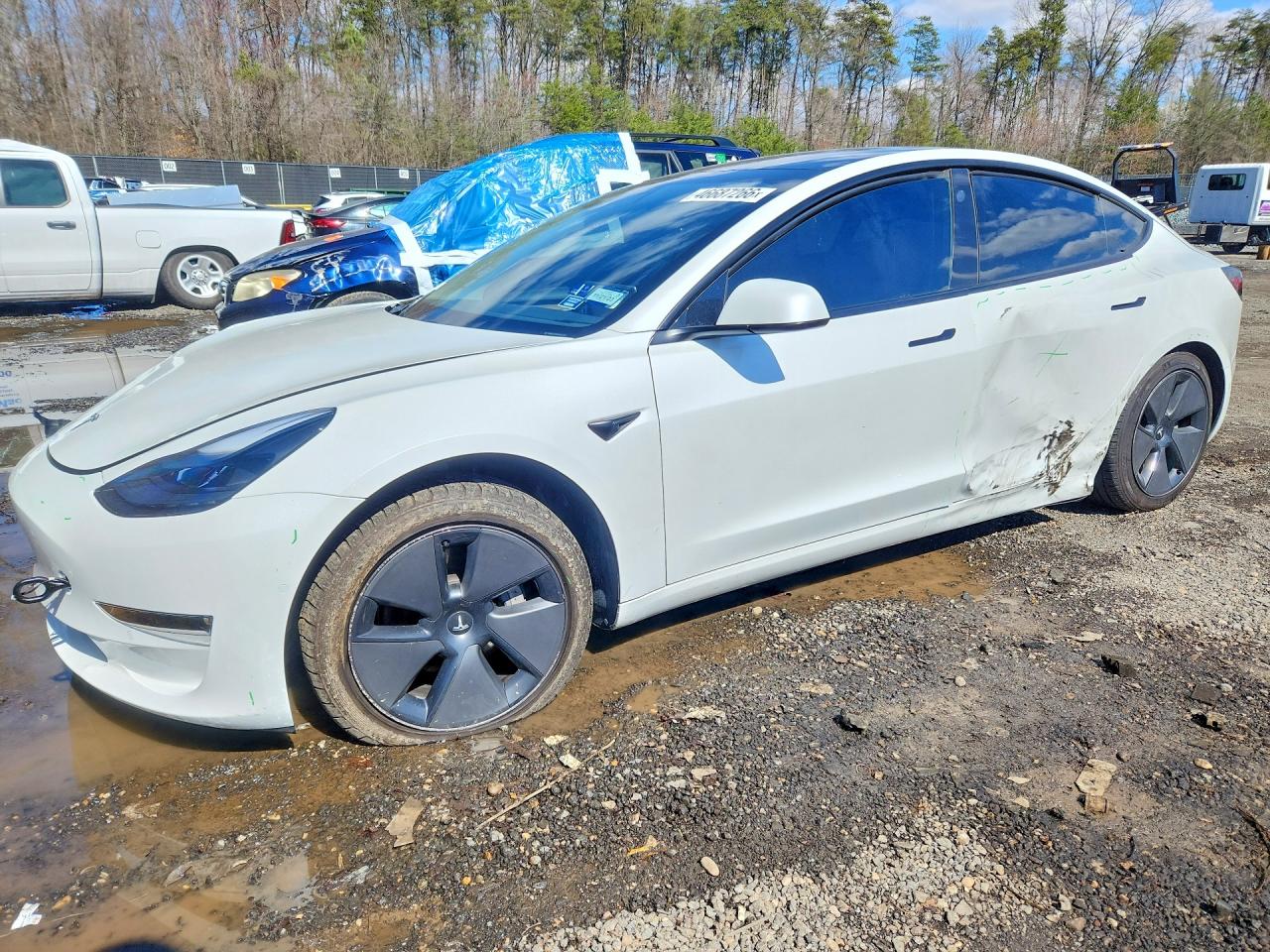 Salvage Tesla Model 3 Image