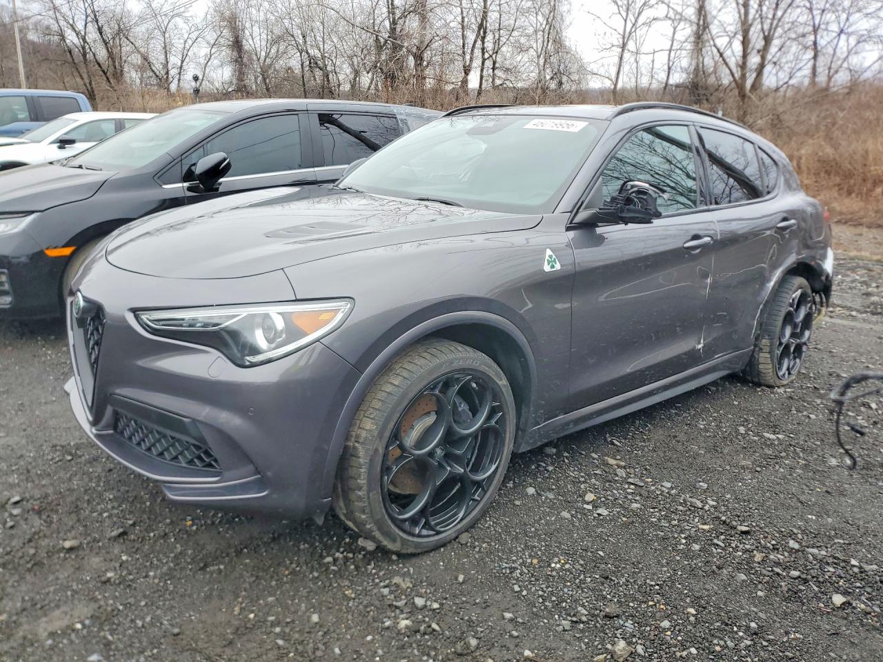 Salvage Alfa Romeo Stelvio Image