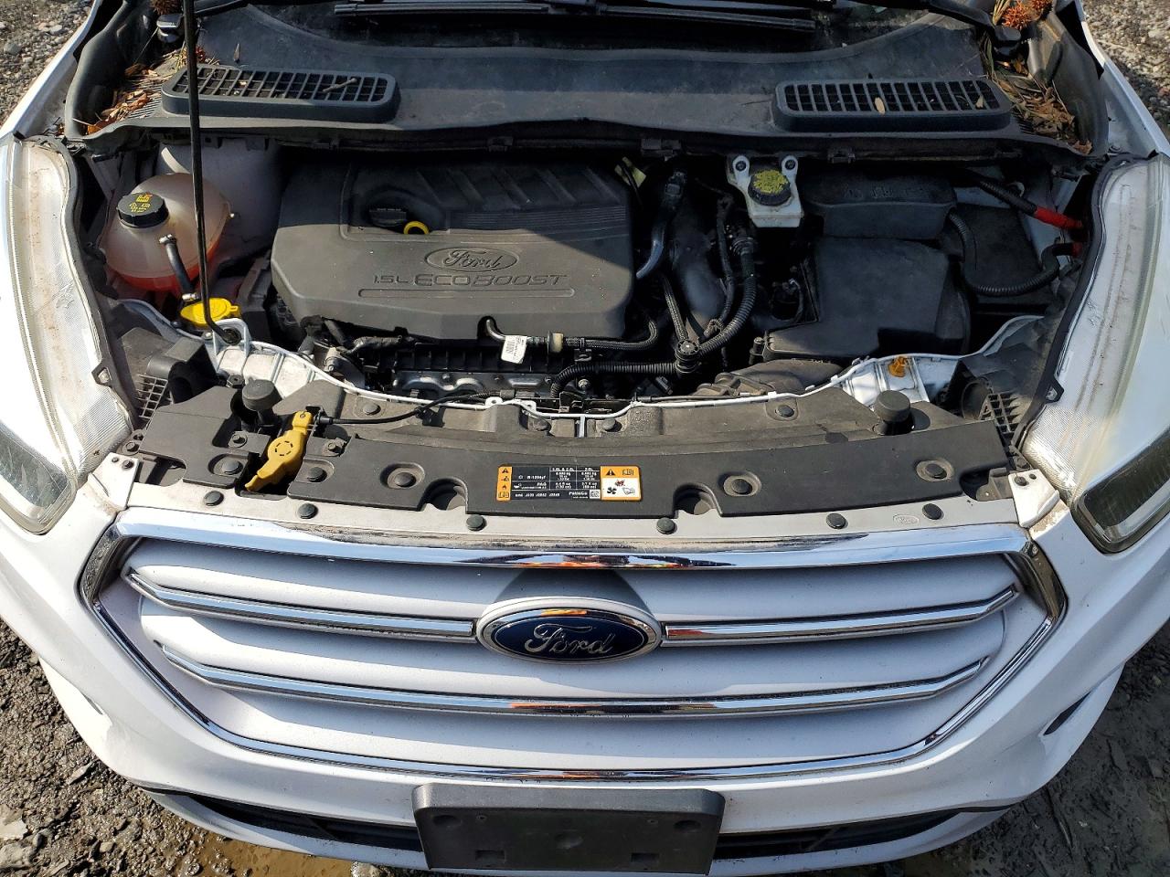 Ford Escape Se
