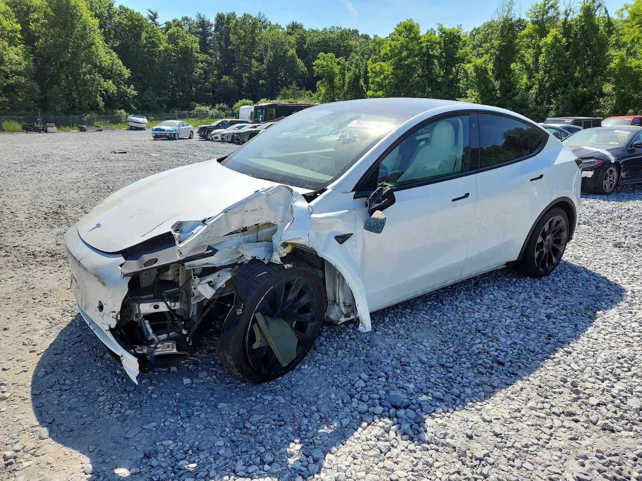 Salvage Tesla Model Y Image