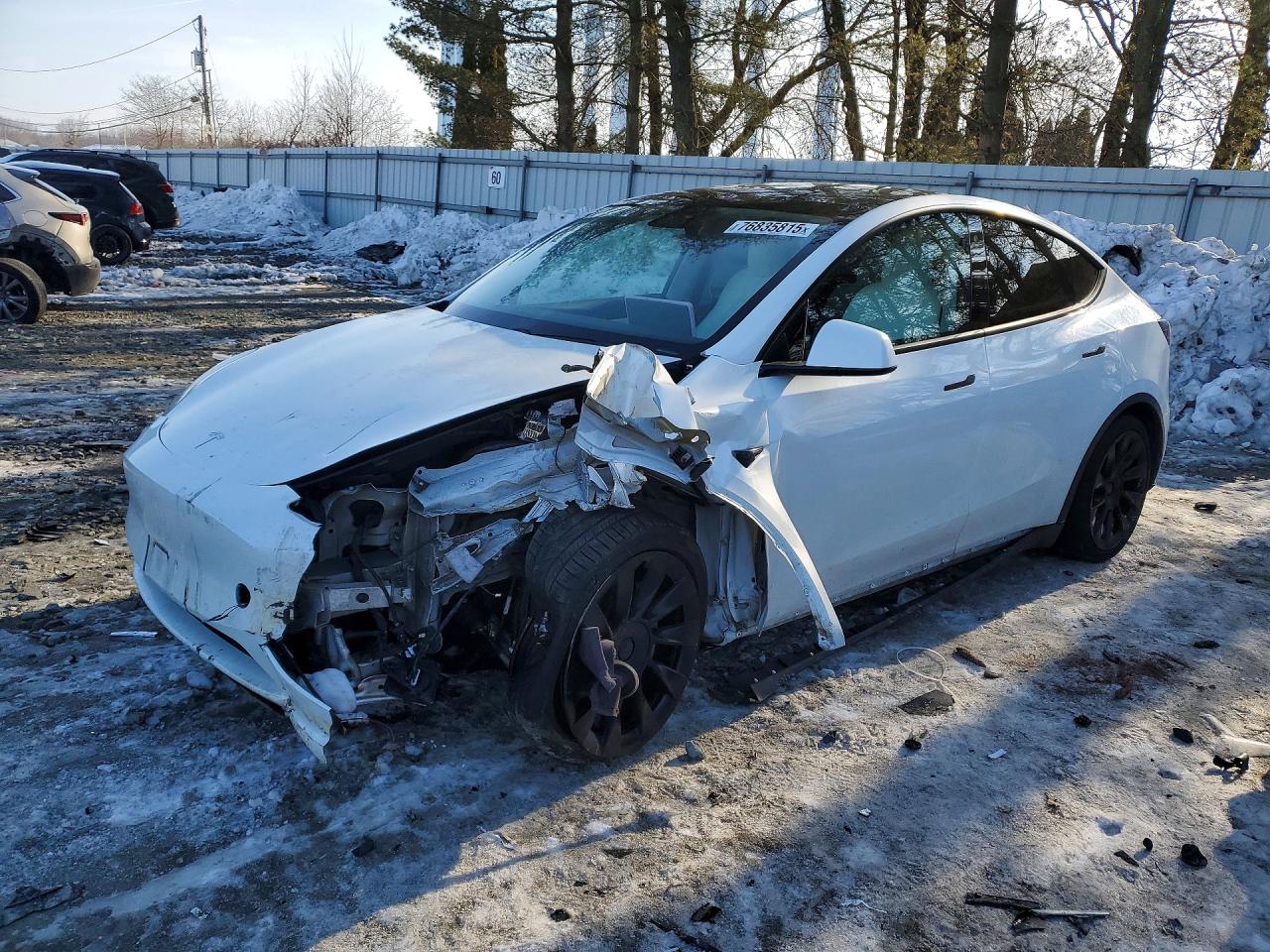 Salvage Tesla Model Y Image