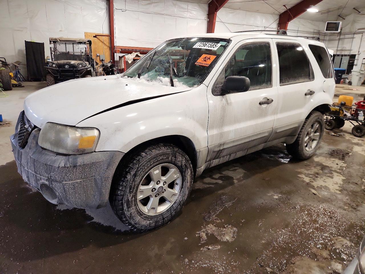 Salvage Ford Escape Image