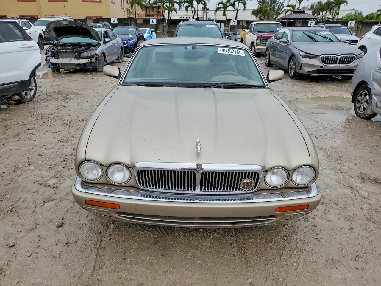 Jaguar Xj6