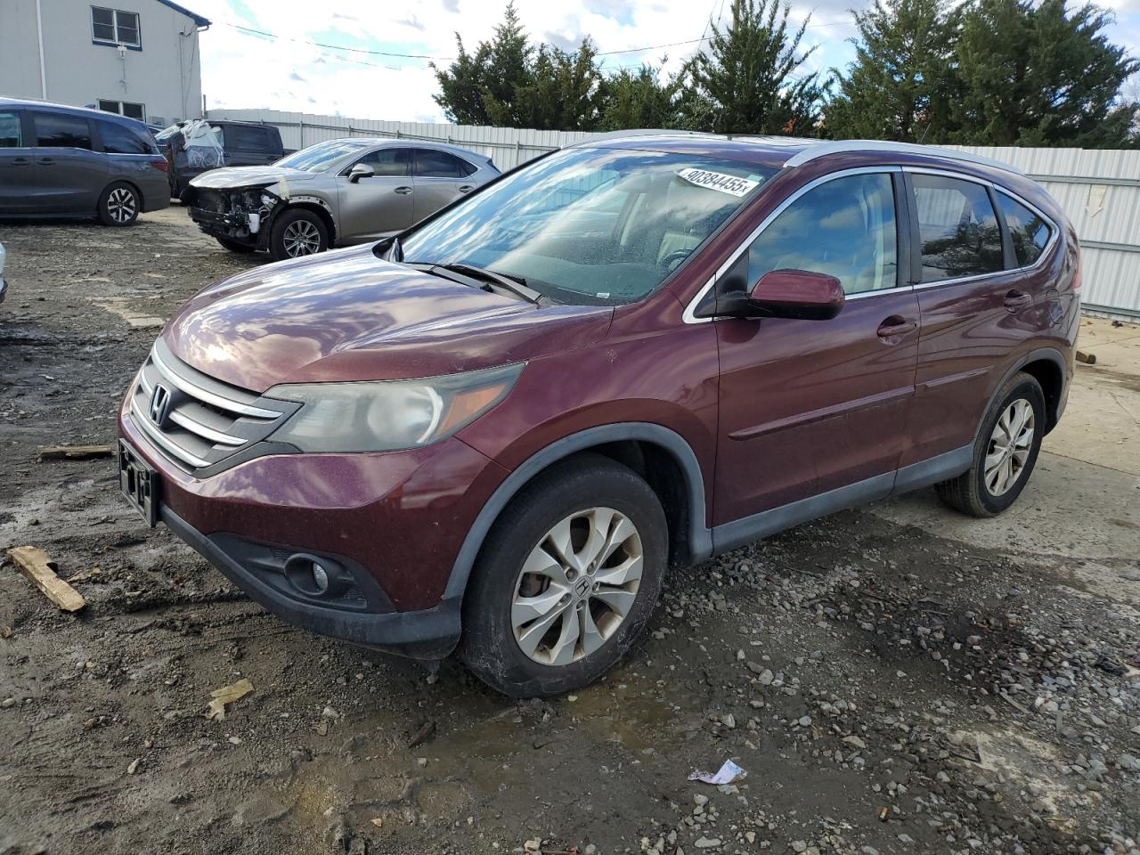 Salvage Honda Crv Image