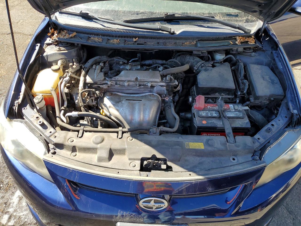 Scion TC Base