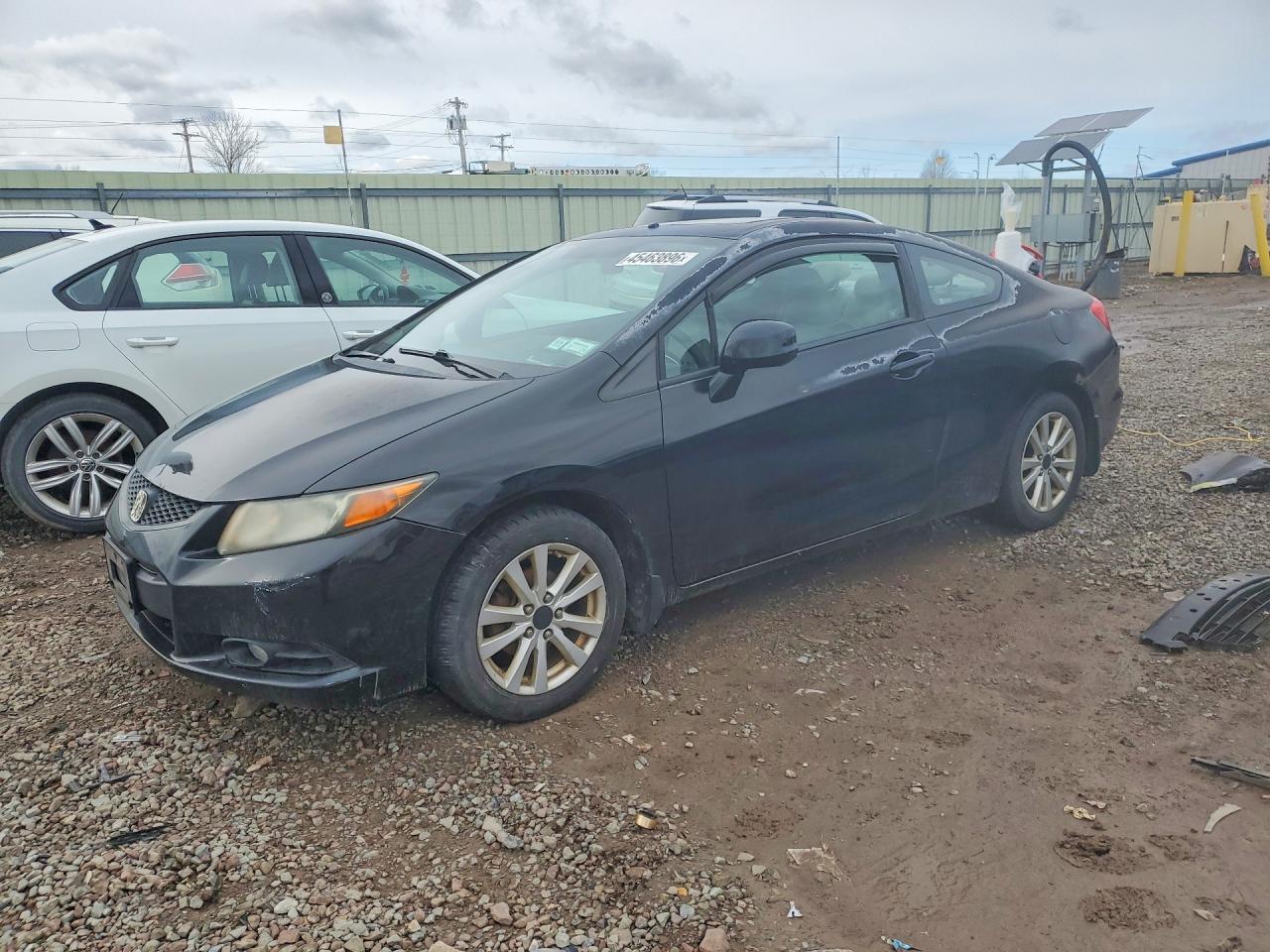 Salvage Honda Civic Image