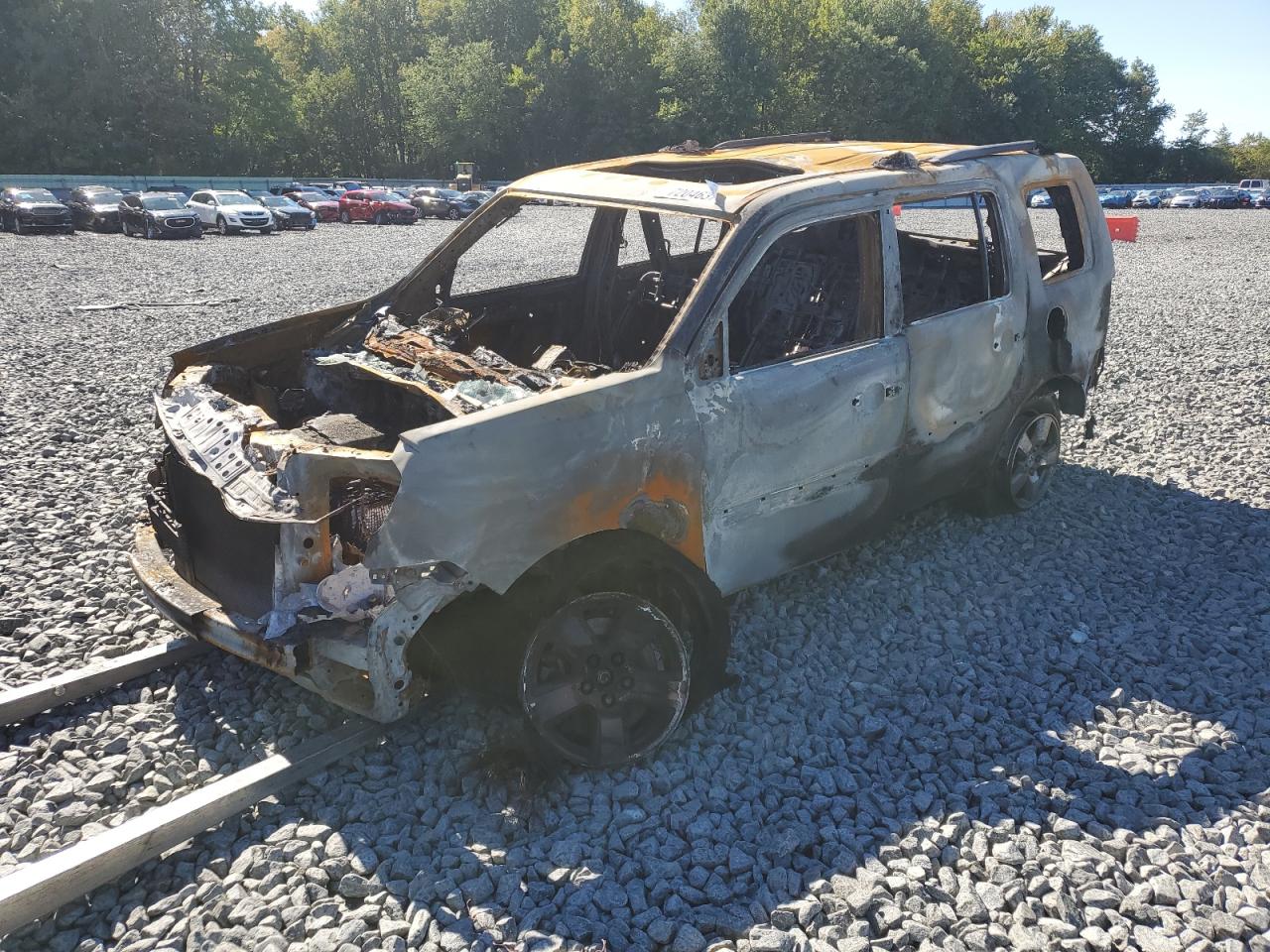 Salvage Honda Pilot Image