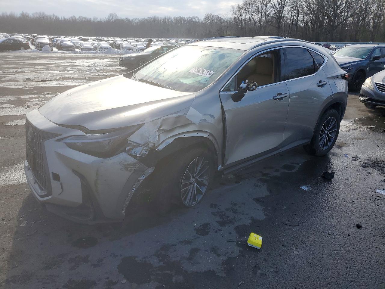 Salvage Lexus NX Image