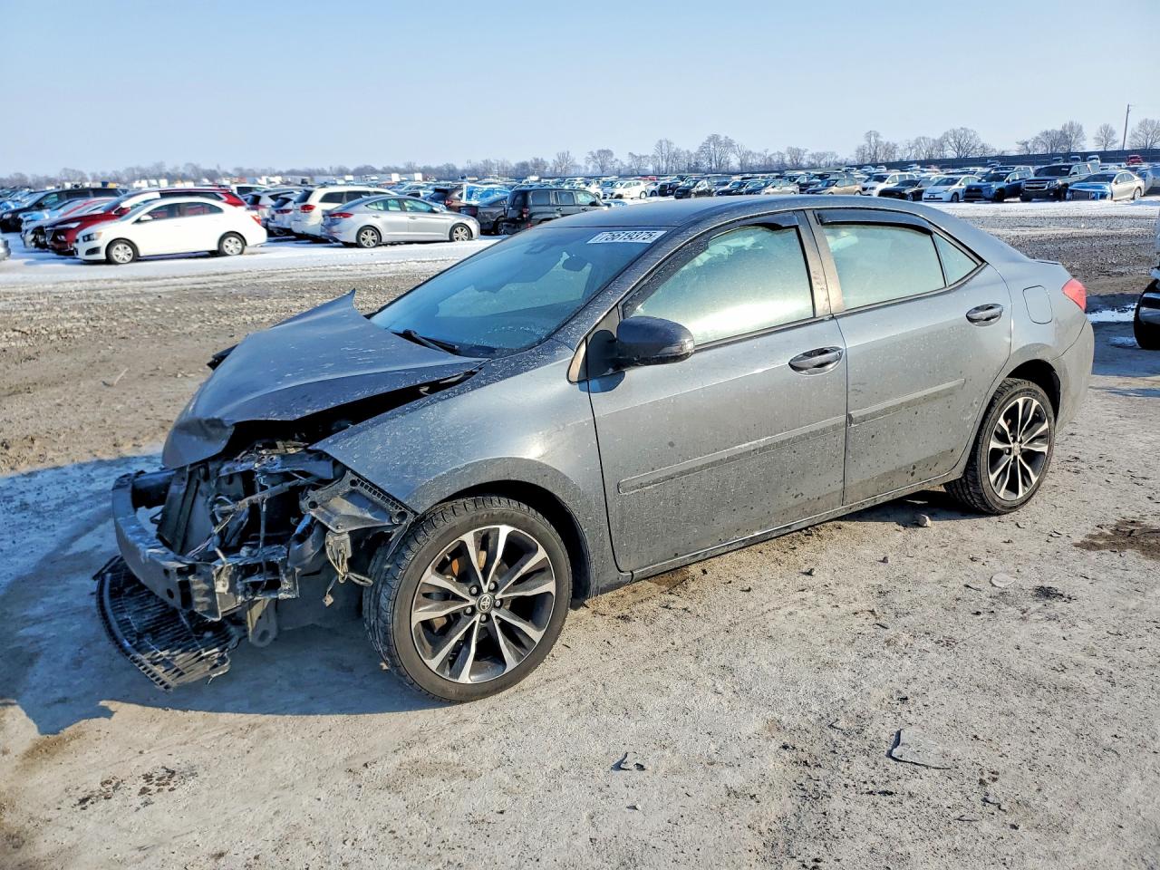 Salvage Toyota Corolla Image