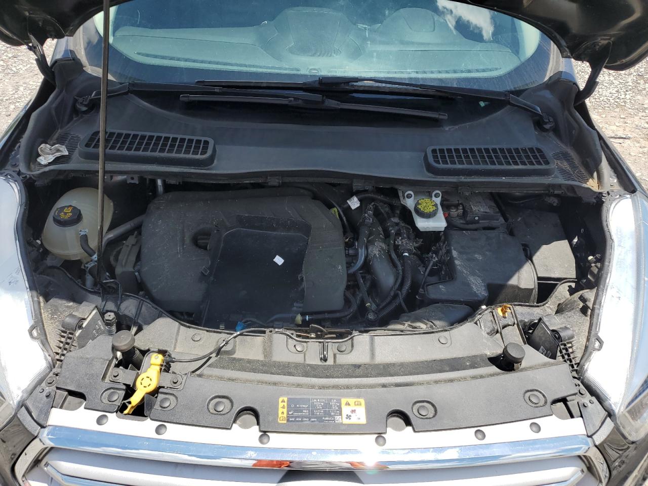 Ford Escape Sel