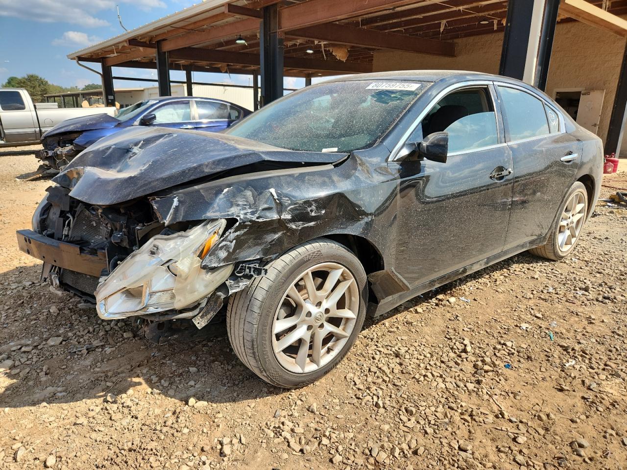 Salvage Nissan Maxima Image