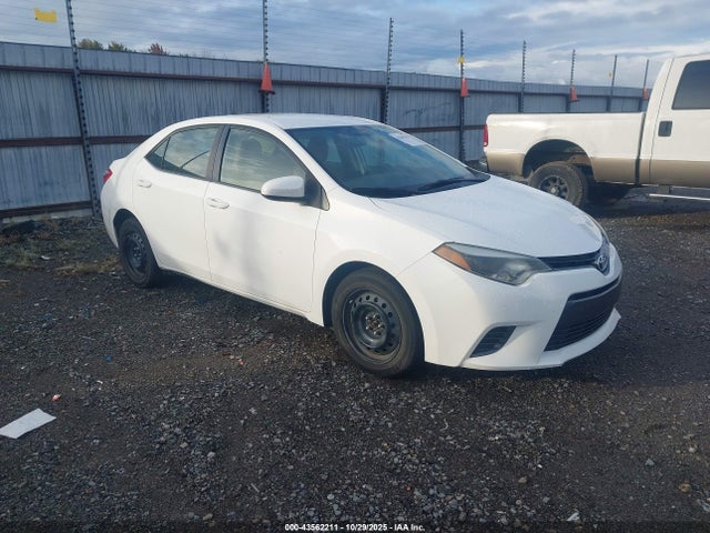 Salvage Toyota Corolla Image