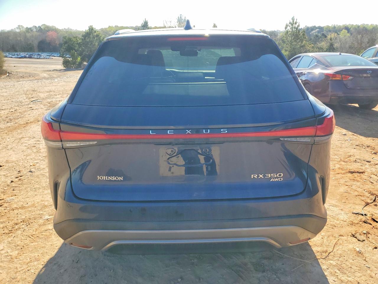 Lexus RX Luxury
