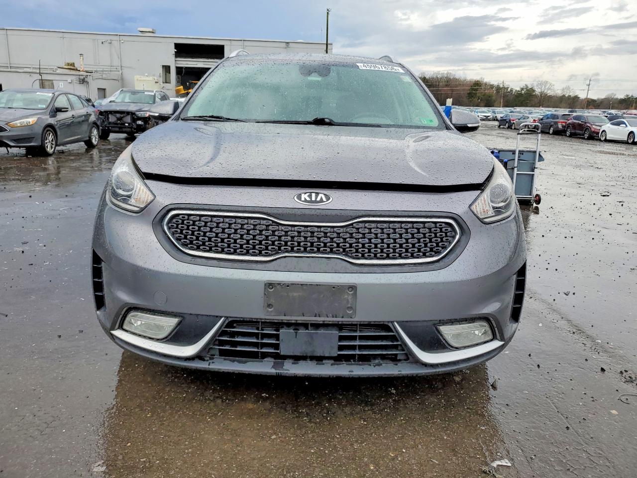 Kia Niro Ex
