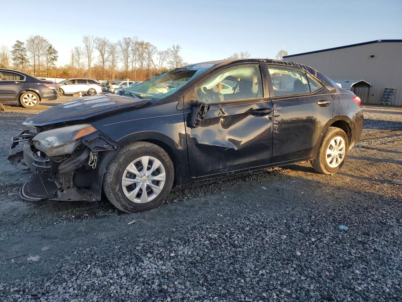 Salvage Toyota Corolla Image