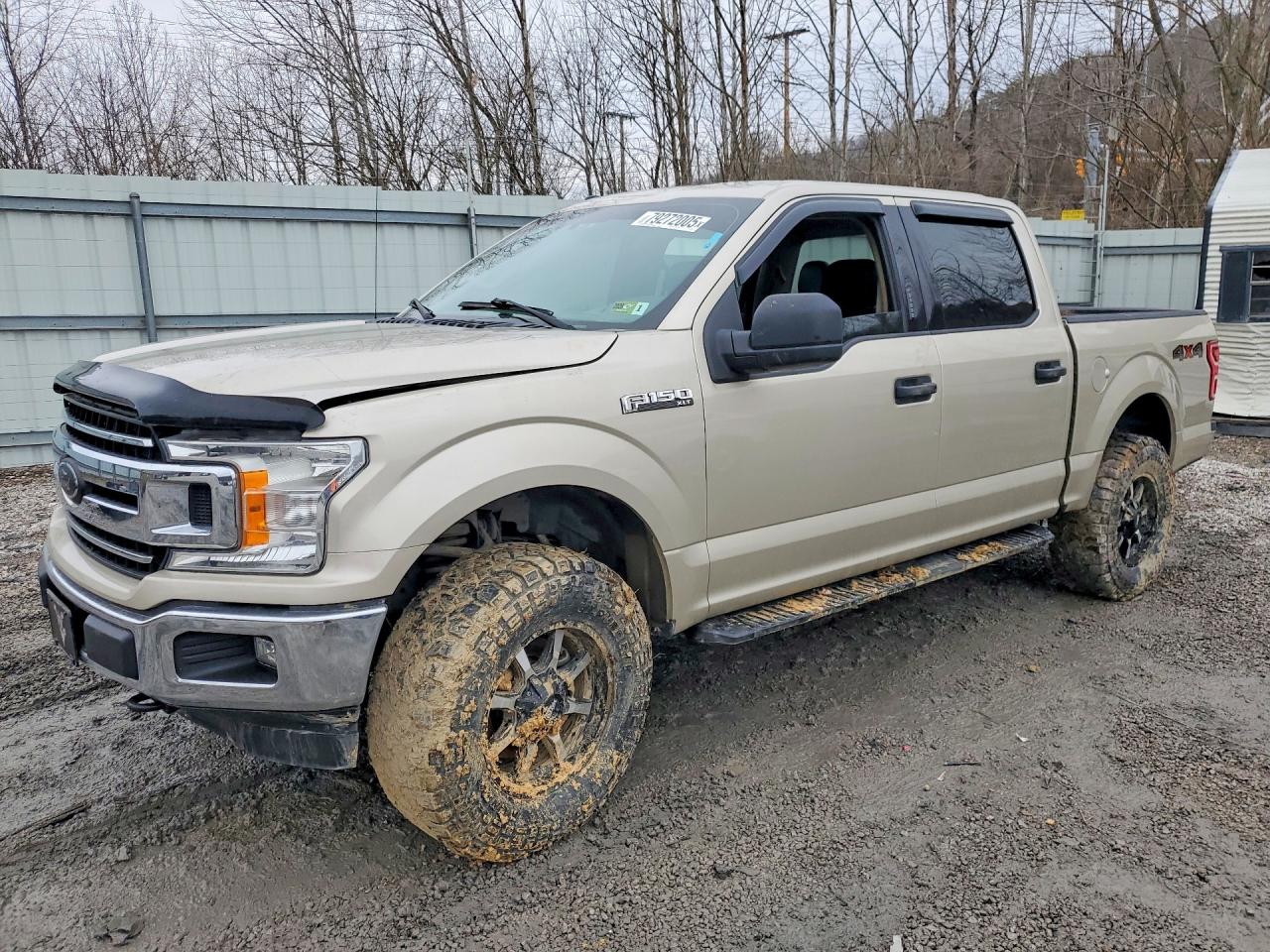 Salvage Ford F-150 Image