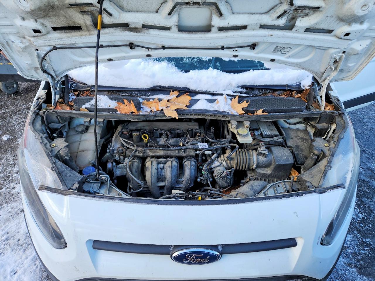 Ford Transit Xl