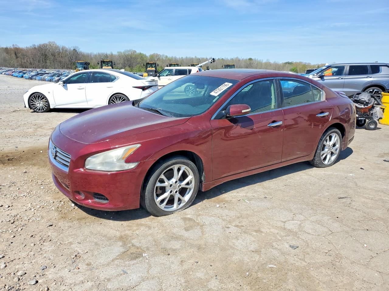 Salvage Nissan Maxima Image