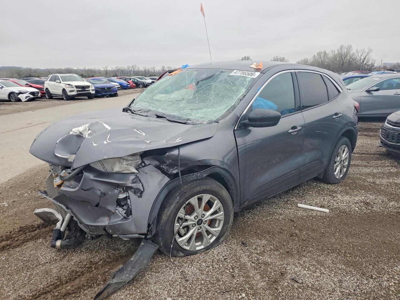 Salvage Ford Escape Image