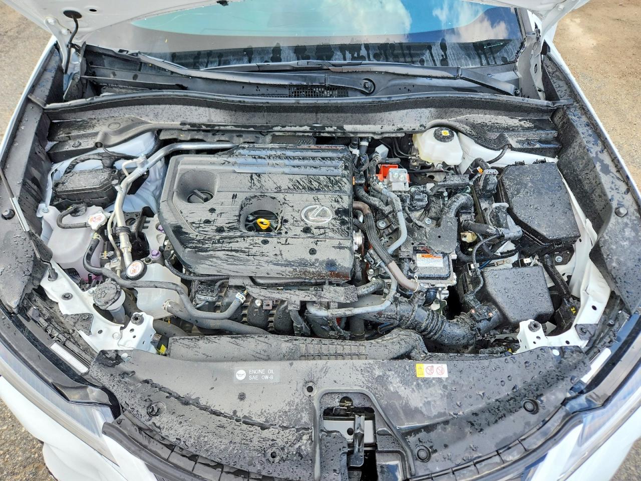 Lexus Other 300h Base