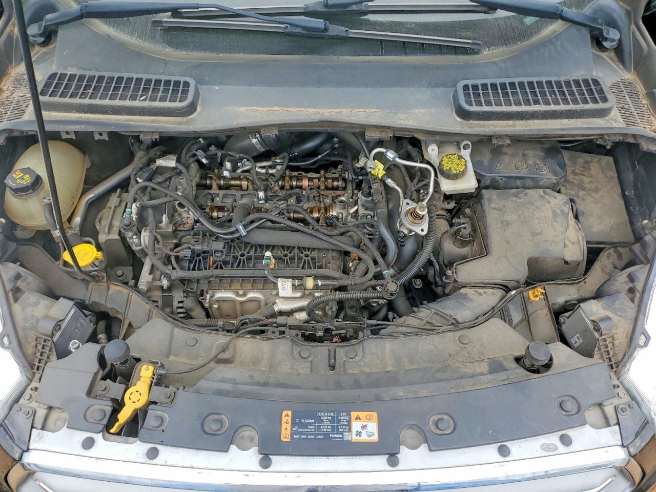 Ford Escape Sel