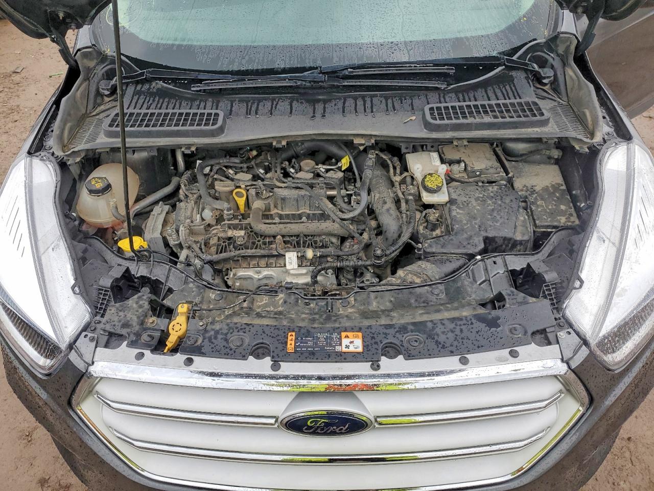 Ford Escape Se