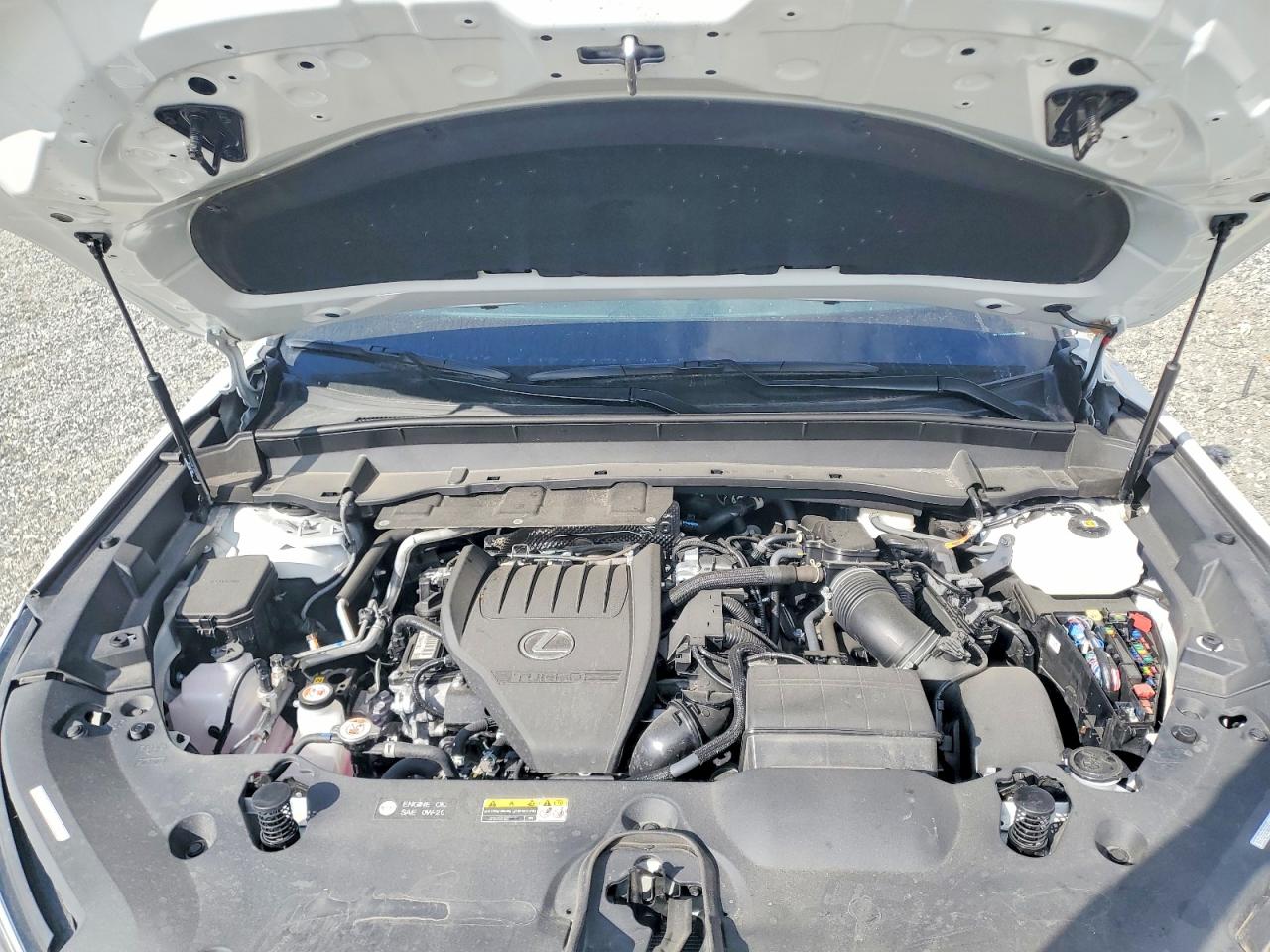 Lexus Other F Sport Performance Premium