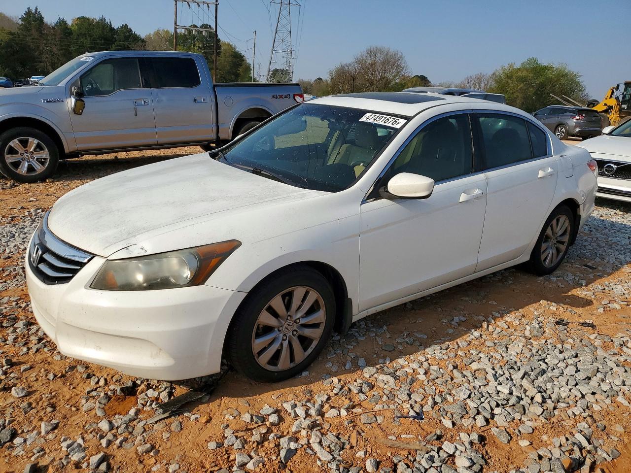 Salvage Honda Accord Image