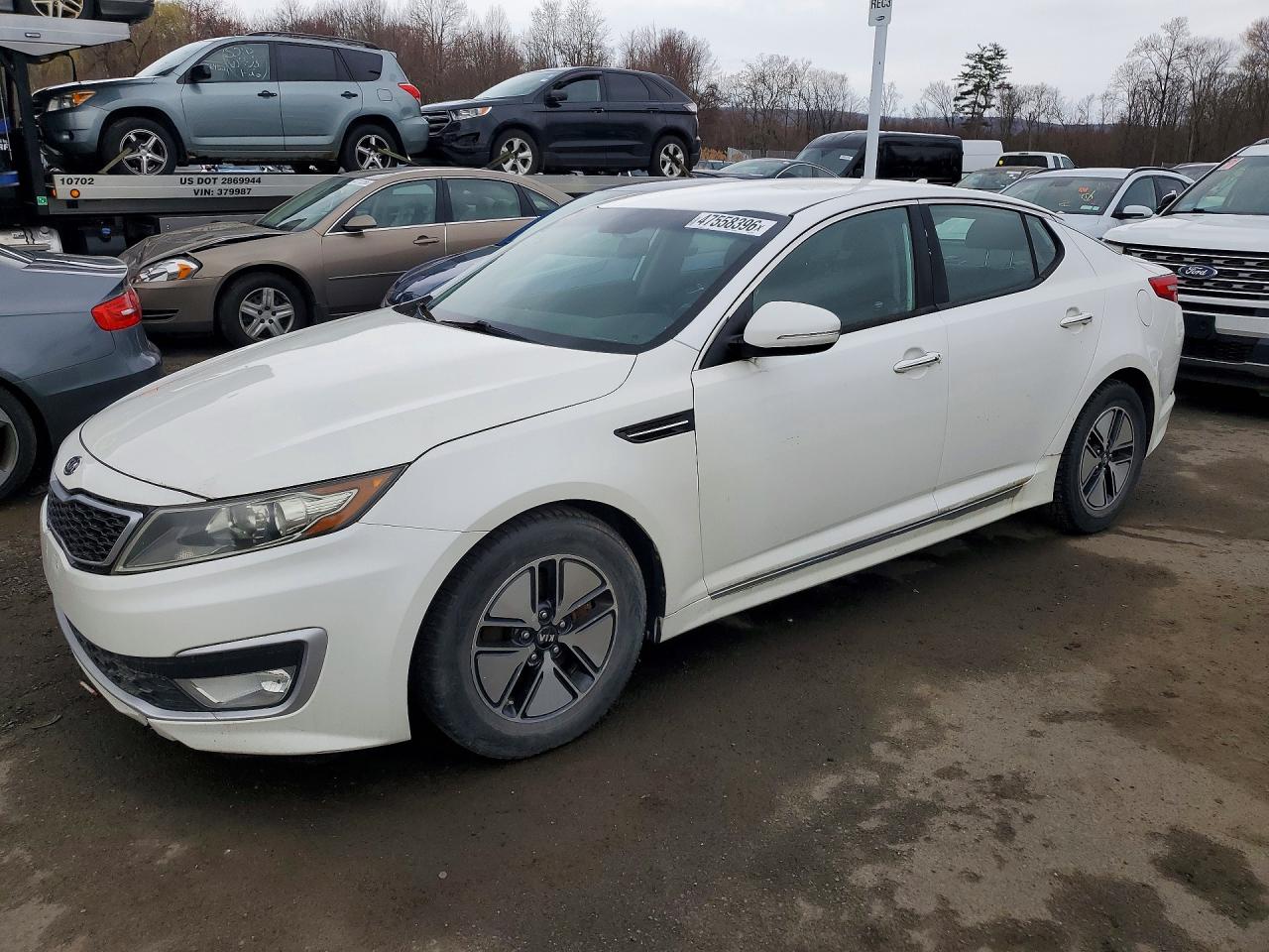 Salvage Kia Optima Image