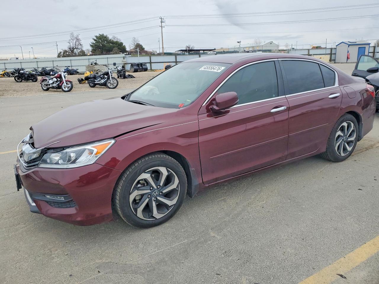 Salvage Honda Accord Image