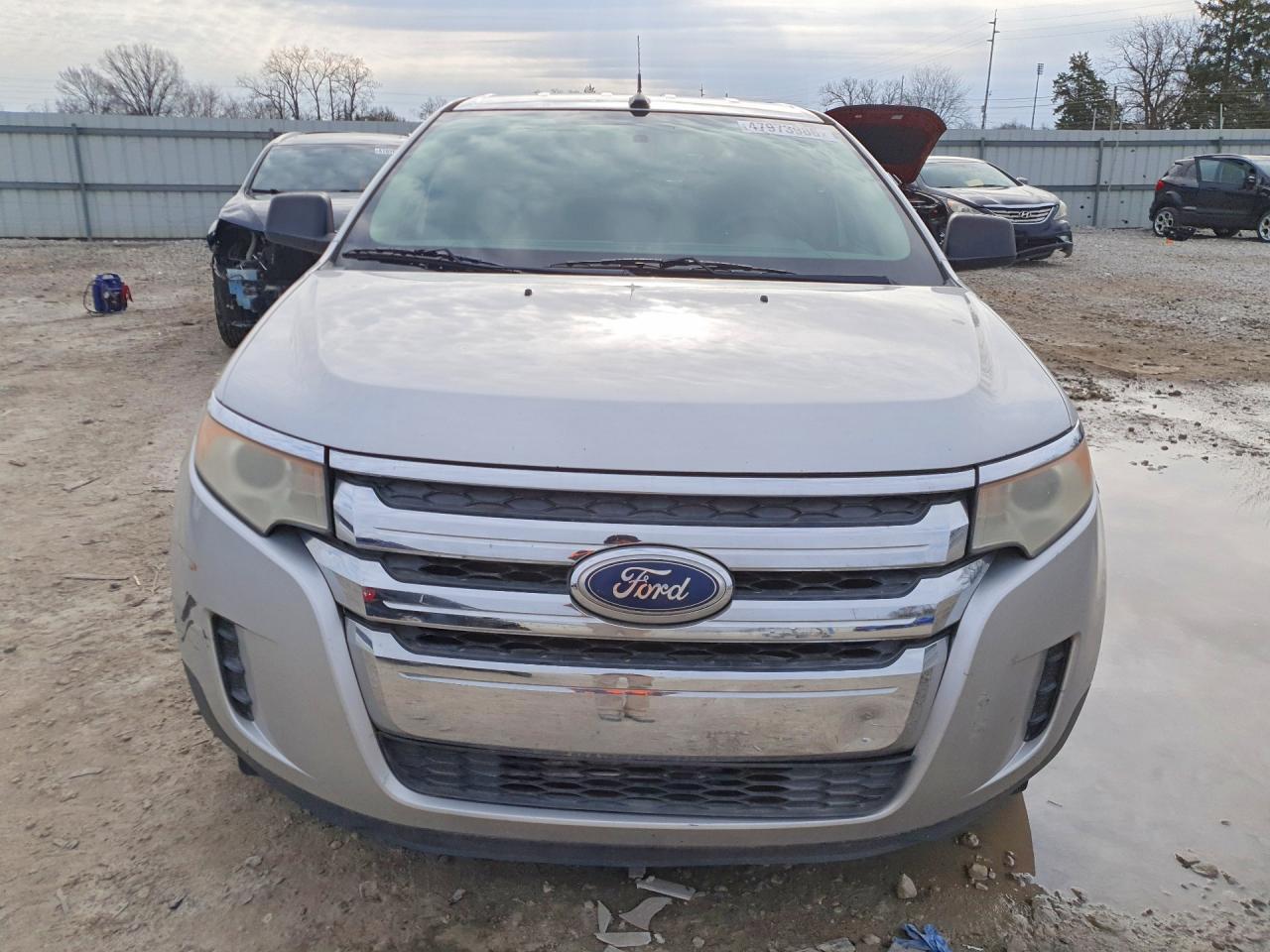 Ford Edge Se