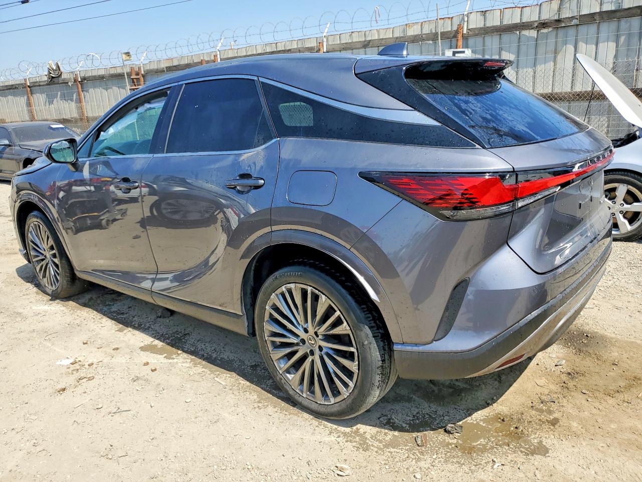 Lexus RX Luxury