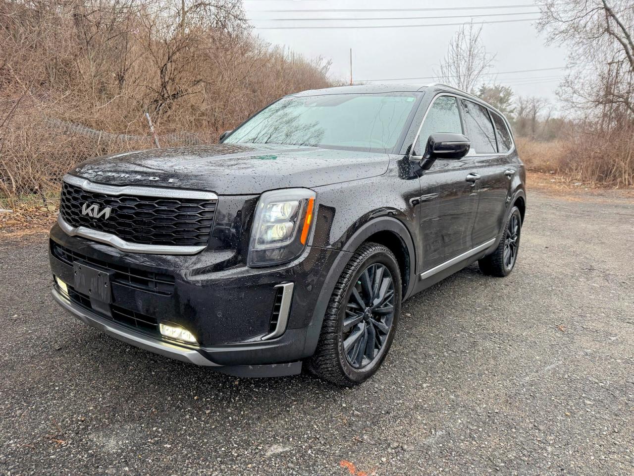 Kia Telluride Sx