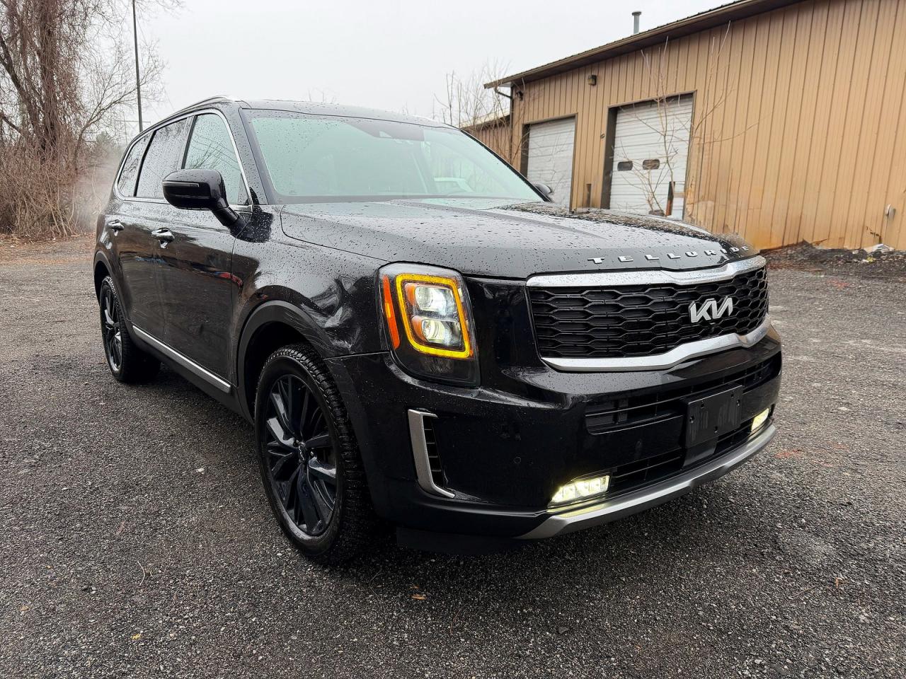 Salvage Kia Telluride Image