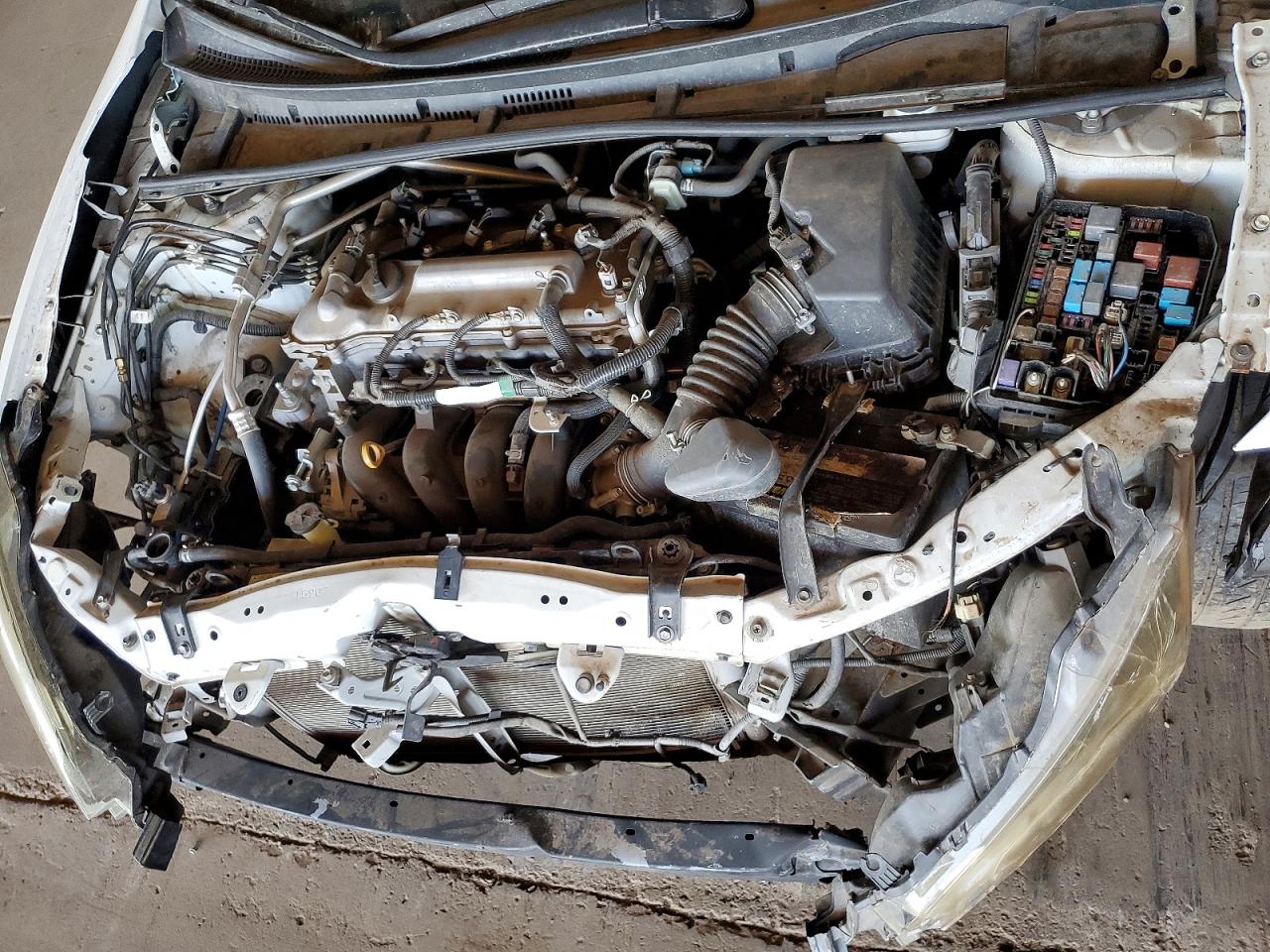 Toyota Corolla Le Plus/le Premium