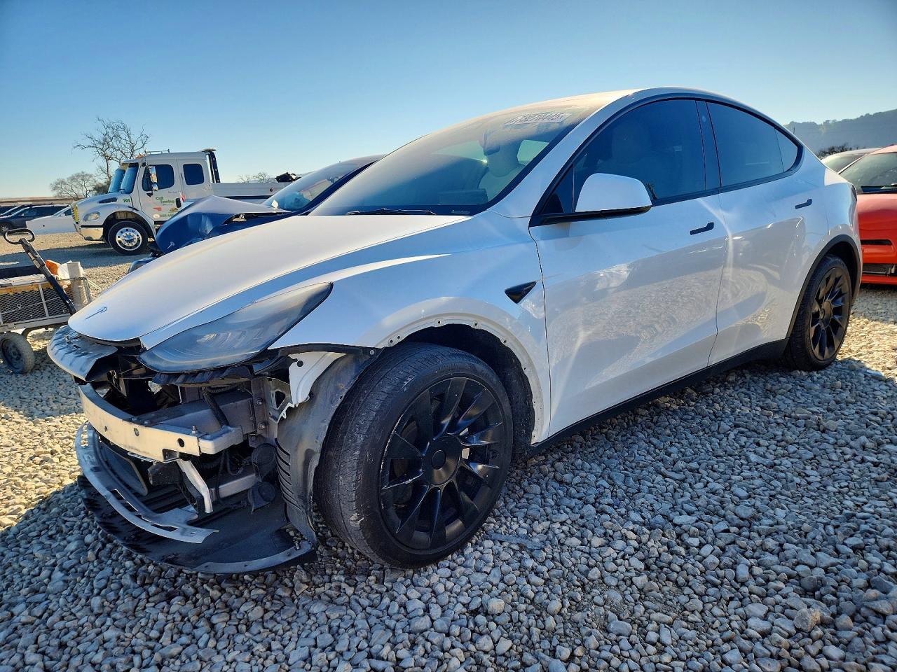 Salvage Tesla Model Y Image