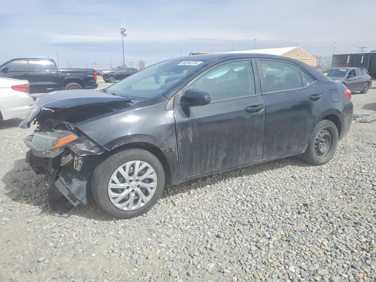 Salvage Toyota Corolla Image