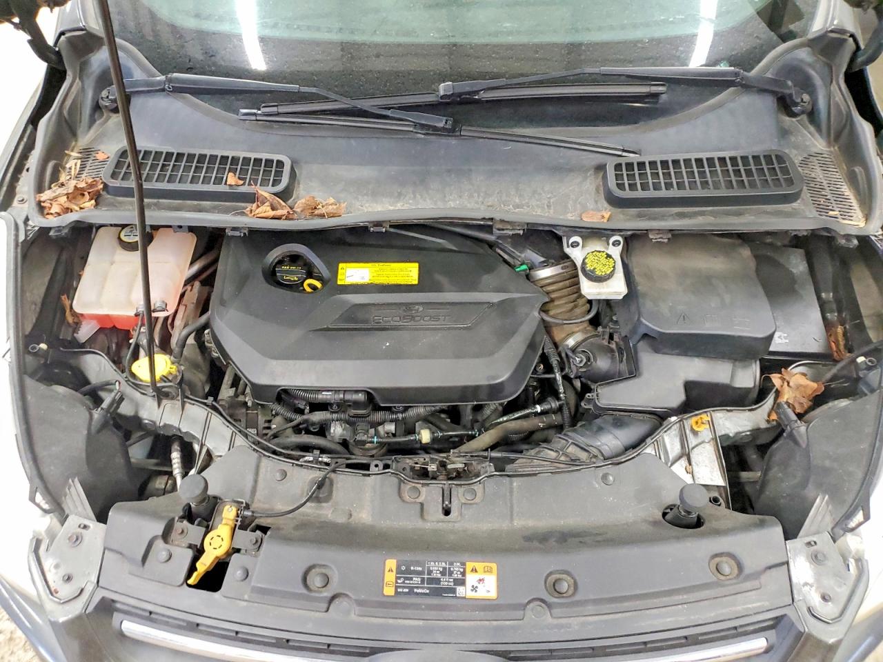 Ford Escape Se