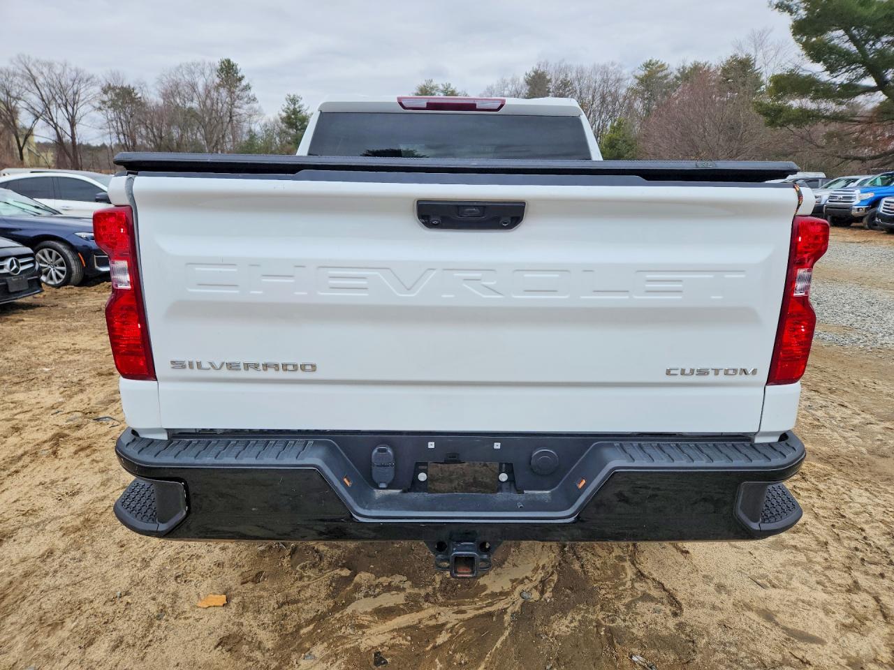 Chevrolet Silverado K1500 Trail Boss Custom