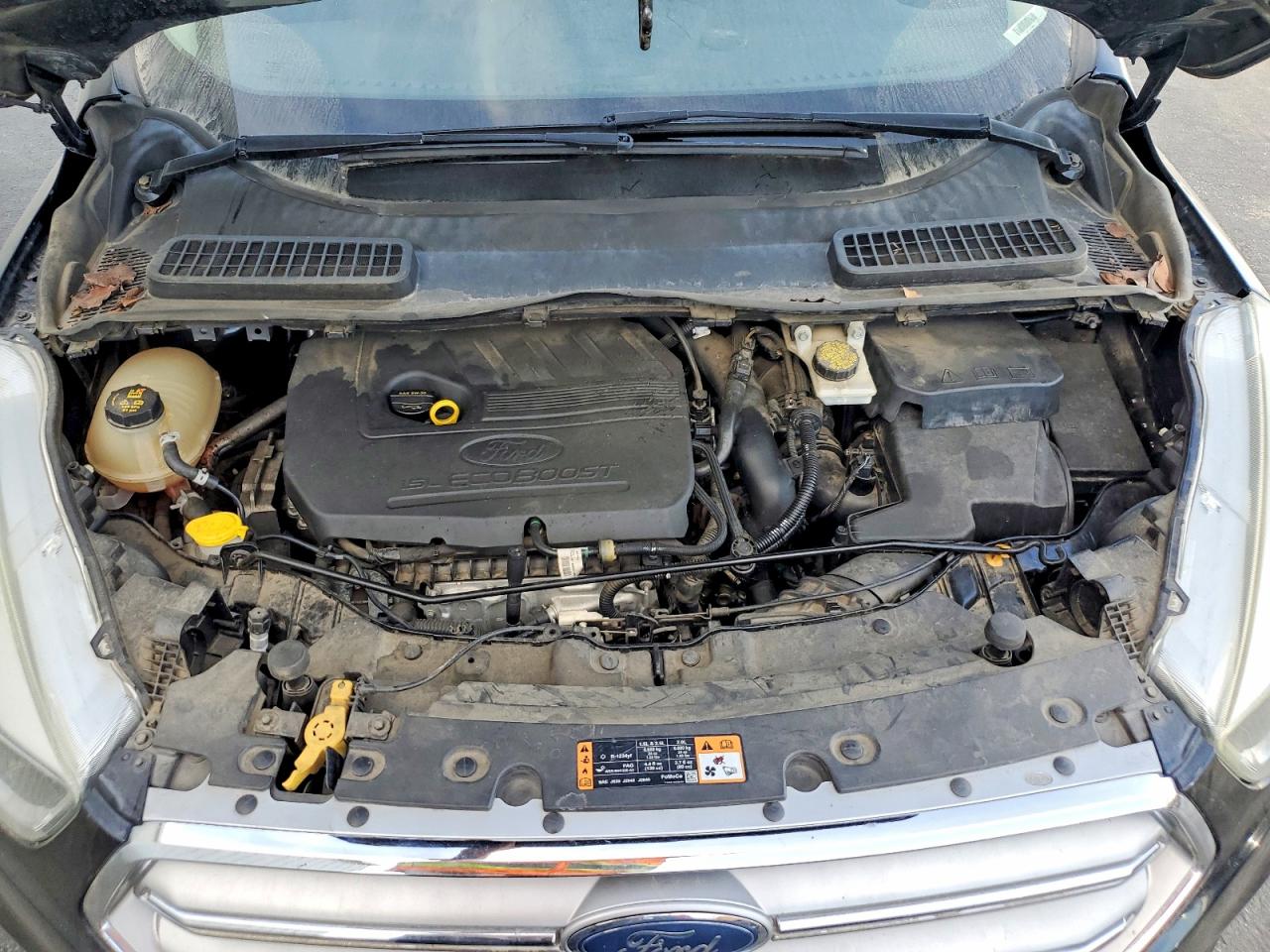 Ford Escape Se