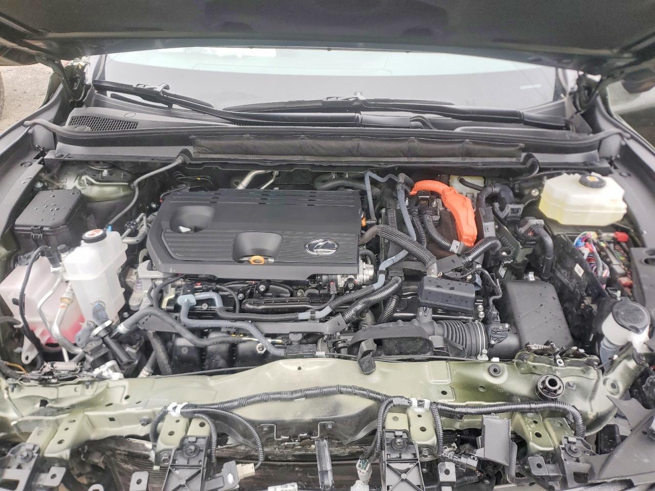 Lexus Other Premium