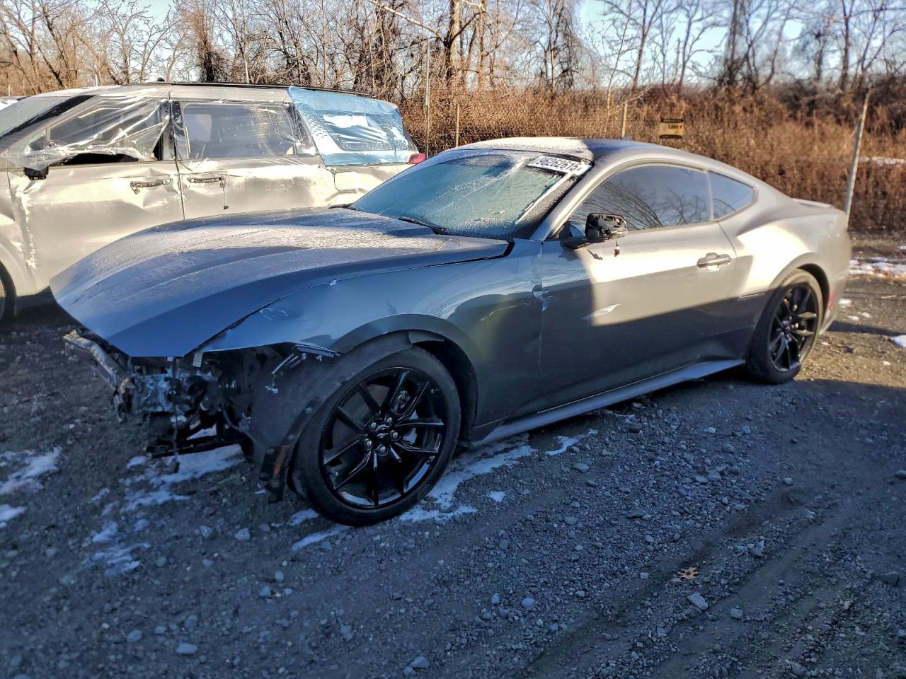 Salvage Ford Mustang Image