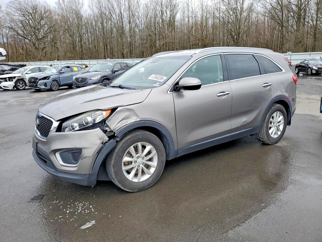 Salvage Kia Sorento Image